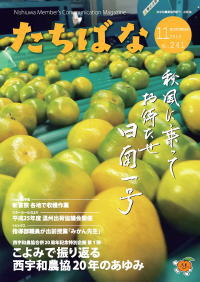 広報たちばな 2013年11月号表紙