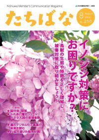 広報たちばな 2014年8月号表紙