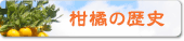 柑橘の歴史へのリンク
