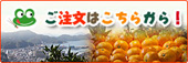 JA全農愛媛の直販ショップへのリンク